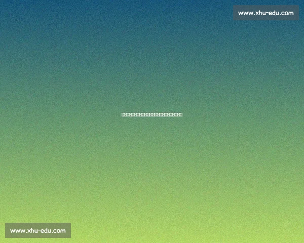 乒坛传奇对决张怡宁挑战男乒高手引发全民热议与敬仰